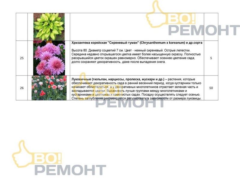 Проект благоустройства территории-102